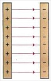 3.2_dynamikes_grammes_E_omoigen.JPG